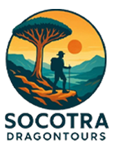socotra dragon tours